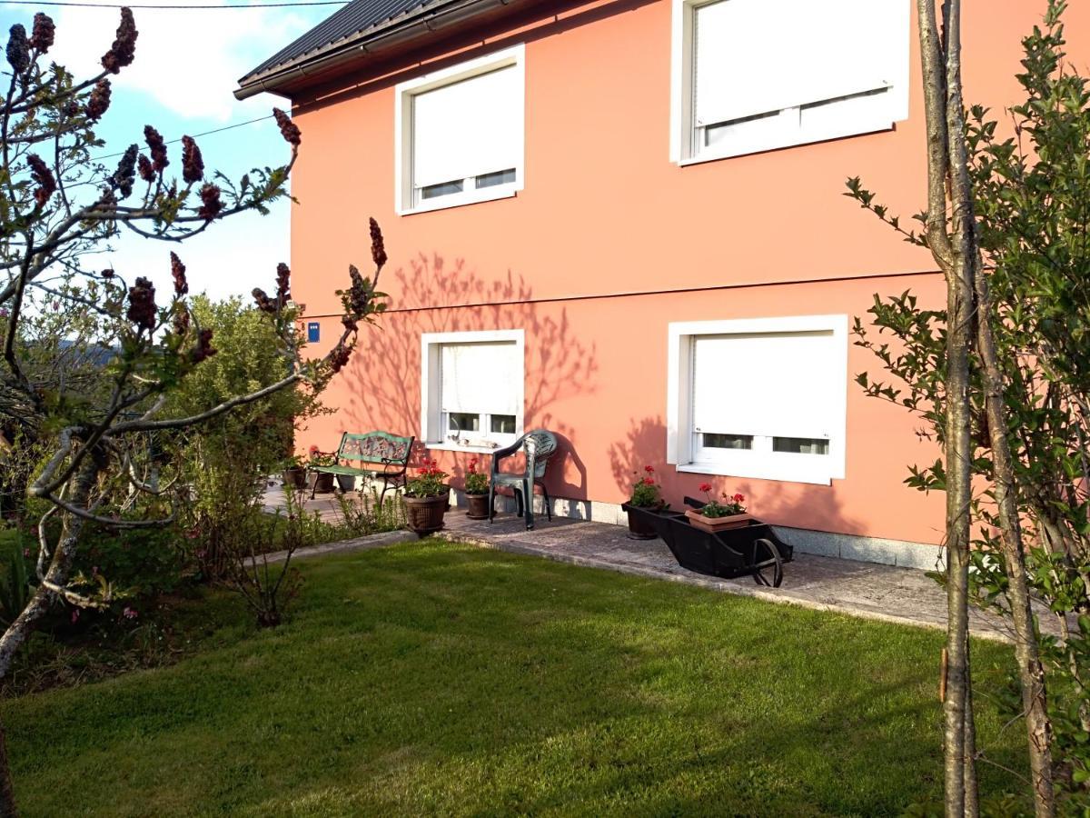Apartman Ris Gorski Kotar Crni Lug Делнице Екстериор снимка
