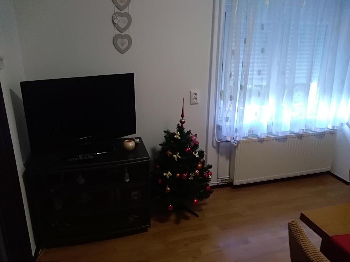Apartman Ris Gorski Kotar Crni Lug Делнице Екстериор снимка